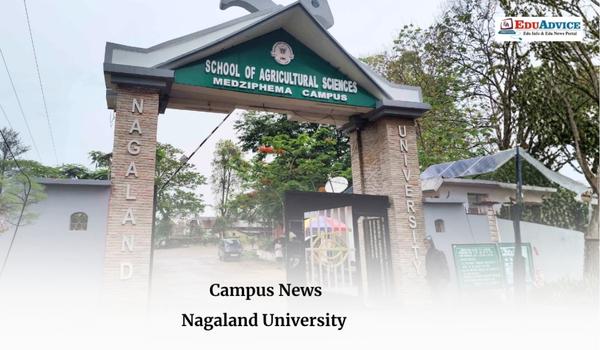 Nagaland University Study Reveals Indigenous Knowledge Behind Angami Naga Terrace Farming