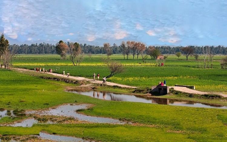 Punjab Class 10 Results Show Rural Students Leading the Way Despite Dip in Overall Pass Percentage